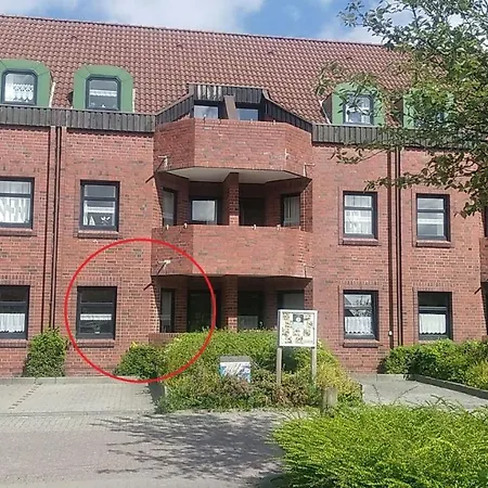 50094 Seestern *